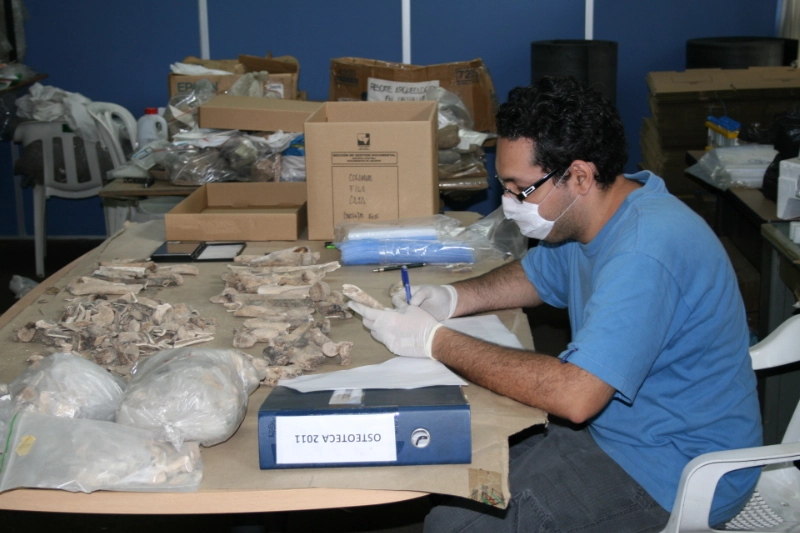 Colección de restos óseos y dentales prehispánicos de la cultura Quimbaya Tardío en la Osteoteca