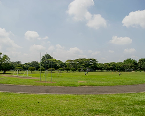 Espacios deportivos al aire libre para fútbol y rugby