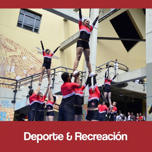 Canchas deportivas y zonas verdes para el esparcimiento en el campus Universitario