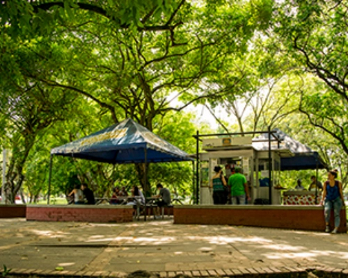 Punto de venta de frutas y jugos con zona de sombra para estudiantes