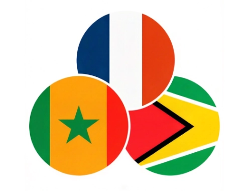 Ilustración de las banderas de Francia, Senegal y Guayana Francesa agrupadas para el idioma francés