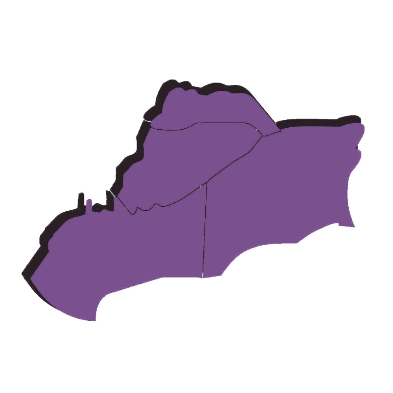 Imagen croquis mapa representativo de la Región Orinoquía