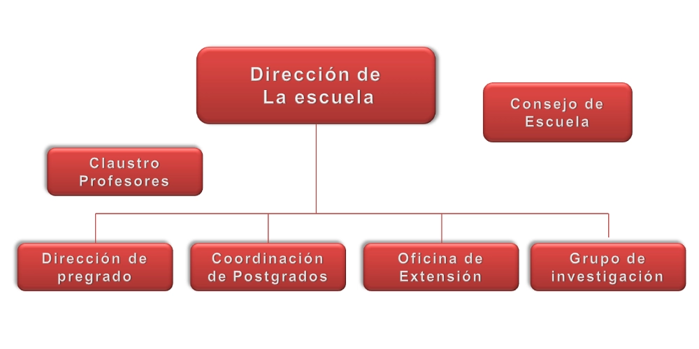 Organigrama de la Escuela de Estadística: detalla dirección, posgrados y programas académicos.